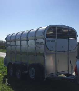 NEW NUGENT 12ft CATTLE TRAILER         
