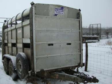 IFOR WILLIAMS 10FT X 5FT 10  CATTLE TRAILER                   